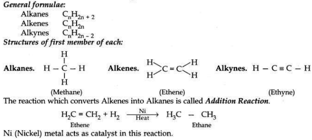 Solved CBSE Sample Papers for Class 10 Science Set 2 12