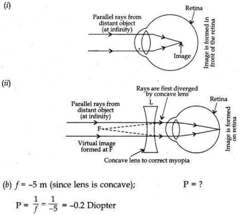 Solved CBSE Sample Papers for Class 10 Science Set 2 15