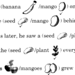 NCERT Solutions for Class 1 English Chapter 13 Murali's Mango Tree Q1