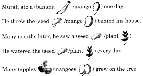 NCERT Solutions for Class 1 English Chapter 13 Murali's Mango Tree Q1