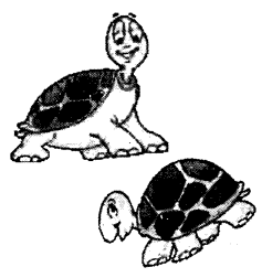 NCERT Solutions for Class 1 English Chapter 16 A Little Turtle Reading is Fun Q2