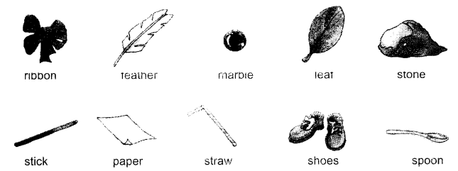 NCERT Solutions for Class 1 English Chapter 4 The Bubble, the Straw, and the Shoe Think Time Q1