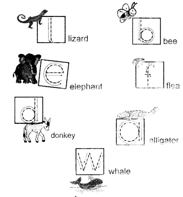 NCERT Solutions for Class 1 English Chapter 5 One Little Kitten Lets Draw Q1.1