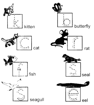 NCERT Solutions for Class 1 English Chapter 5 One Little Kitten Lets Draw Q1