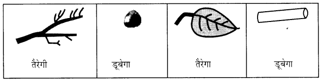 NCERT Solutions for Class 1 Hindi Chapter 15 मैं भी... Q2