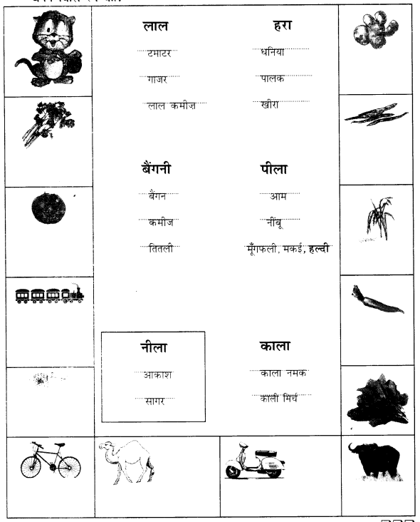 NCERT Solutions for Class 1 Hindi Chapter 4 पत्ते ही पत्ते 7