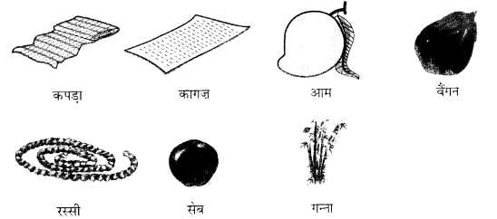 NCERT Solutions for Class 1 Hindi Chapter 7 रसोईघर Q3