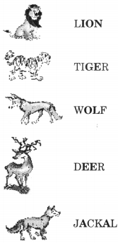 NCERT Solutions for Class 2 English Chapter 10 Zoo Manners Lets Do Q2