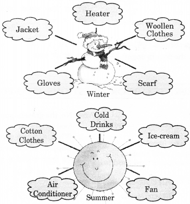 NCERT Solutions for Class 2 English Chapter 21 The Grasshopper and the Ant The Web World Q1
