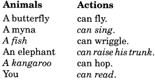 NCERT Solutions for Class 2 English Chapter 4 I am Lucky Reading is Fun Q1.1
