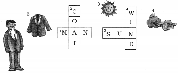 NCERT Solutions for Class 2 English Chapter 7 The Wind and the Sun Crossword Fun Q1