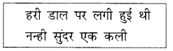 NCERT Solutions for Class 2 Hindi Chapter 8 तितली और कली Q10.1