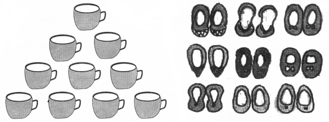 NCERT Solutions for Class 2 Maths Chapter 2 Counting in Groups Q1