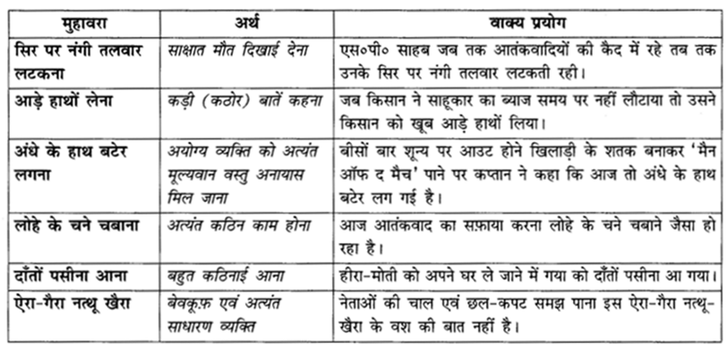 NCERT Solutions for Class 10 Hindi Sparsh Chapter 10 बड़े भाई साहब Q2