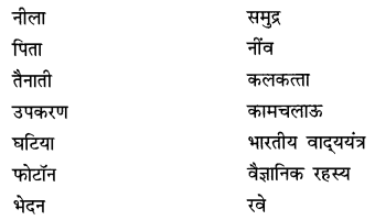 NCERT Solutions for Class 9 Hindi Sparsh Chapter 5 वैज्ञानिक चेतना के वाहक चन्द्र शेखर वेंकट रामन Q6.1