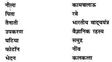 NCERT Solutions for Class 9 Hindi Sparsh Chapter 5 वैज्ञानिक चेतना के वाहक चन्द्र शेखर वेंकट रामन Q6