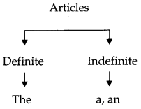 CBSE Class 8 English Grammar Determiners 1