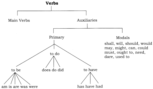 CBSE Class 8 English Grammar Verb