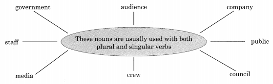 English Workbook Class 10 Solutions Unit 3 Subject – Verb Agreement 11