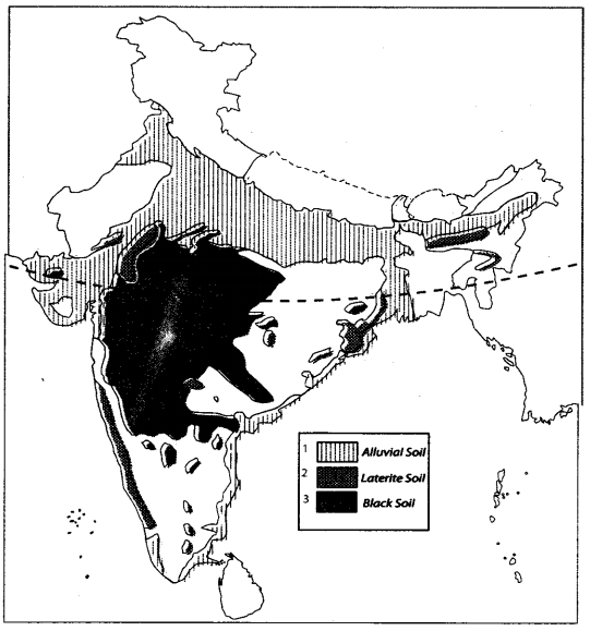 Map Questions For Class 10 Geography Chapter 1
