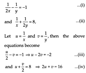 NCERT Exemplar Class 10 Maths Chapter 3 Pair of Linear Equations in Two Variables Ex 3.3 Q9.3