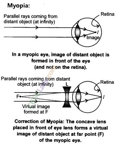 NCERT Exemplar Class 10 Science Chapter 11 Human Eye and Colourful World 6
