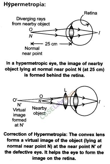 NCERT Exemplar Class 10 Science Chapter 11 Human Eye and Colourful World 7