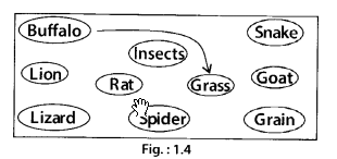 NCERT Exemplar Class 6 Science Chapter 1 Food Where Does It Come From Img 5