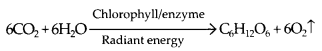 NCERT Exemplar Class 7 Science Chapter 1 Matter In Our Surroundings q8