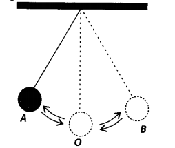 NCERT Exemplar Class 7 Science Chapter 13 Motion and Time q6