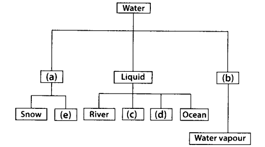 NCERT Exemplar Class 7 Science Chapter 16 Water A Precious Resource q23