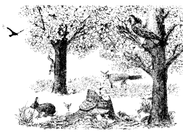 NCERT Exemplar Class 7 Science Chapter 17 Forests Our Lifeline q23