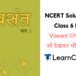 NCERT Solutions for Class 6 Hindi Vasant Chapter 11 जो देखकर भी नहीं देखते