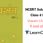 NCERT Solutions for Class 6 Hindi Vasant Chapter 13 मैं सबसे छोटी होऊं