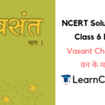 NCERT Solutions for Class 6 Hindi Vasant Chapter 16 वन के मार्ग में