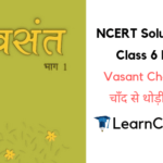 NCERT Solutions for Class 6 Hindi Vasant Chapter 4 चाँद से थोड़ी सी गप्पे