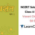 NCERT Solutions for Class 6 Hindi Vasant Chapter 8 ऐसे ऐसे