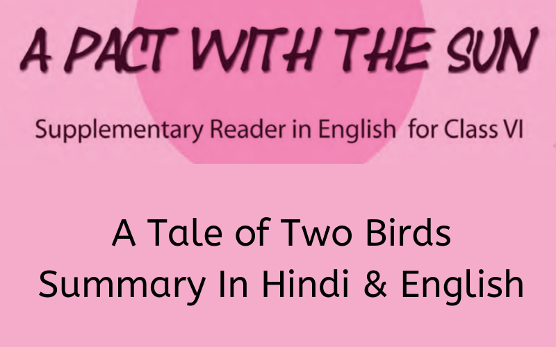A Tale of Two Birds Summary Class 6 English
