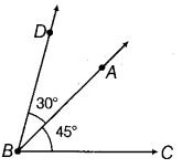 NCERT Exemplar Class 6 Maths Chapter 9 Symmetry and Practical Geometry 109