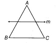NCERT Exemplar Class 6 Maths Chapter 9 Symmetry and Practical Geometry 89