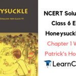NCERT Solutions for Class 6 English Honeysuckle Prose Chapter 1 Who Did Patrick’s Homework
