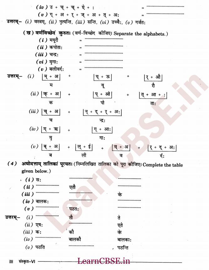 NCERT Solutions for Class 6th Sanskrit Chapter 1 - अकारान्त - पुल्लिङ्ग 10