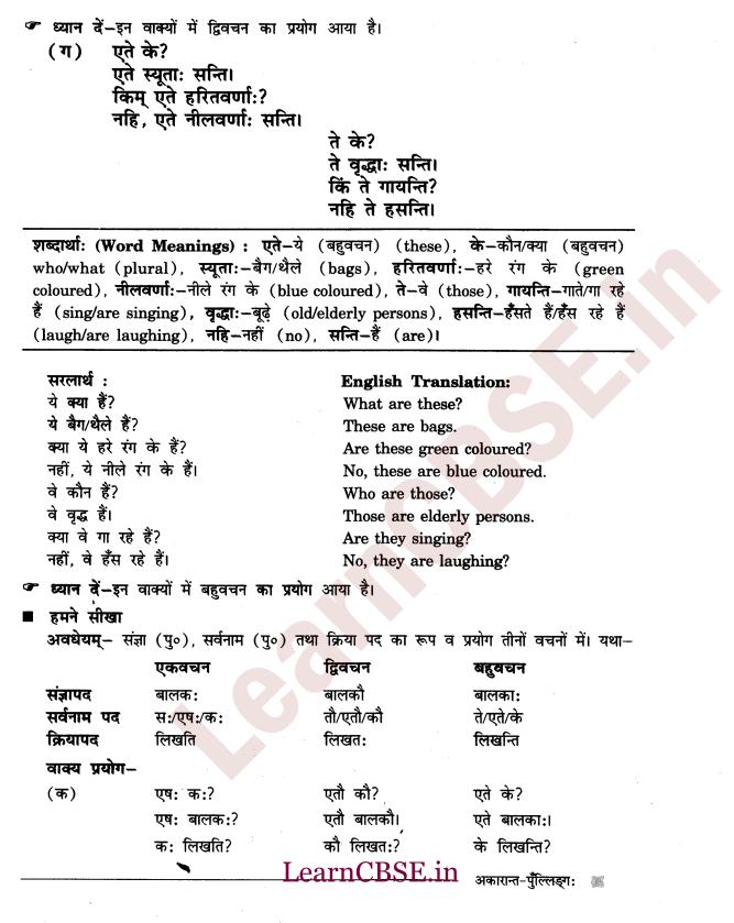 NCERT Solutions for Class 6th Sanskrit Chapter 1 - अकारान्त - पुल्लिङ्ग 3