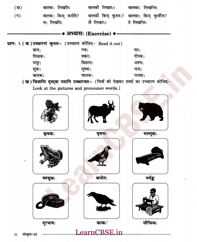 NCERT Solutions for Class 6th Sanskrit Chapter 1 - अकारान्त - पुल्लिङ्ग 4