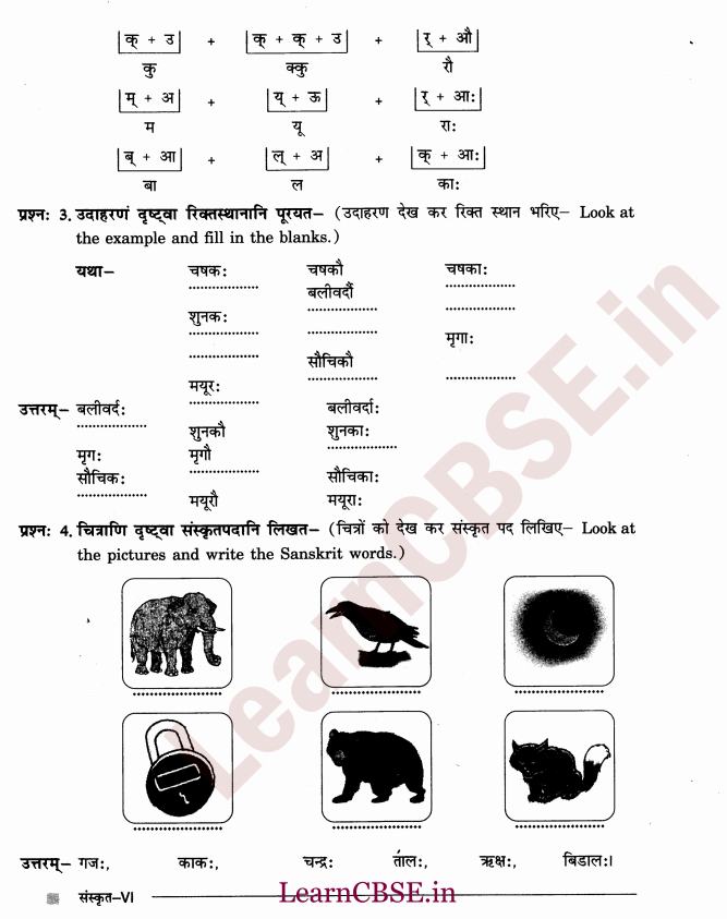 NCERT Solutions for Class 6th Sanskrit Chapter 1 - अकारान्त - पुल्लिङ्ग 6
