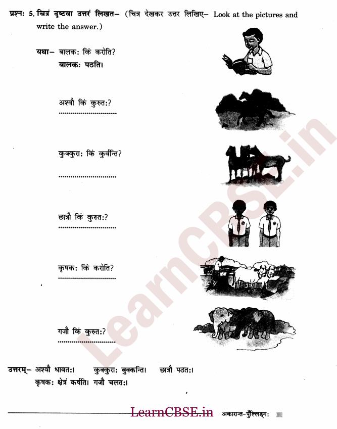 NCERT Solutions for Class 6th Sanskrit Chapter 1 - अकारान्त - पुल्लिङ्ग 7