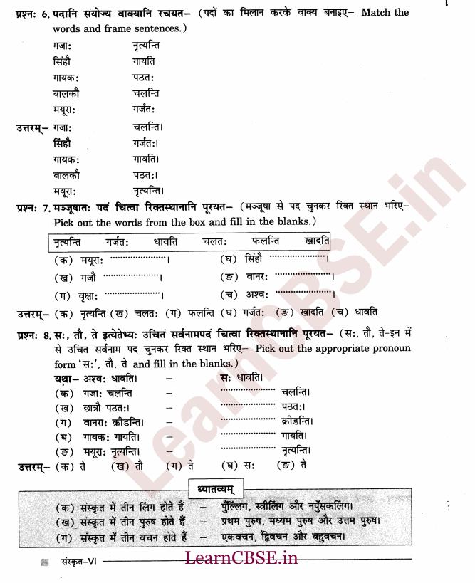 NCERT Solutions for Class 6th Sanskrit Chapter 1 - अकारान्त - पुल्लिङ्ग 8