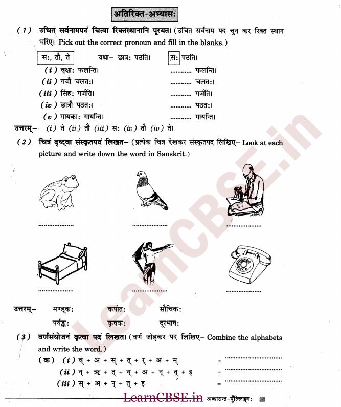 NCERT Solutions for Class 6th Sanskrit Chapter 1 - अकारान्त - पुल्लिङ्ग 9