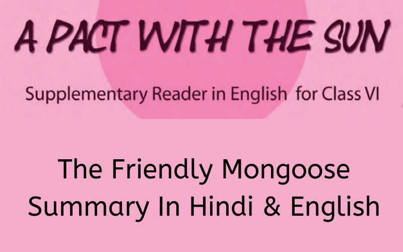 The Friendly Mongoose Summary Class 6 English