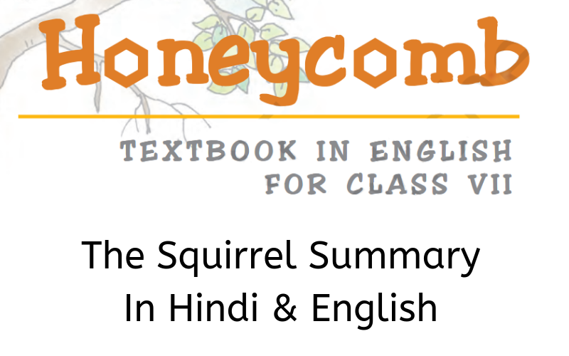 The Squirrel Summary Class 7 English - Learn CBSE